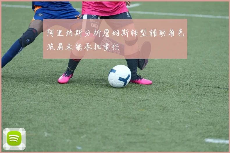 阿里纳斯分析詹姆斯转型辅助角色浓眉未能承担重任